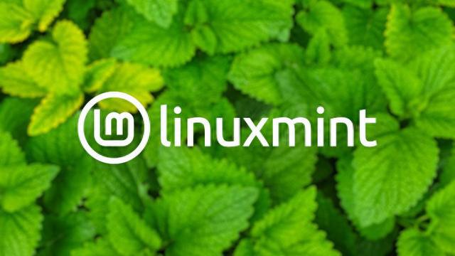 amon 64 在12月发布前获得了更时尚的新外观j9九游真人游戏第一品牌Linux Mint Cn(图2)